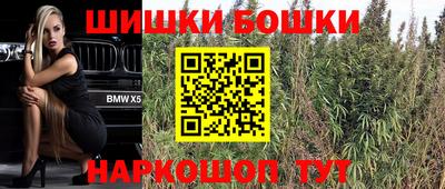 мдпв Шелехов