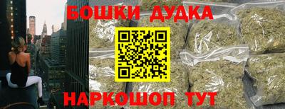 индика Шахты