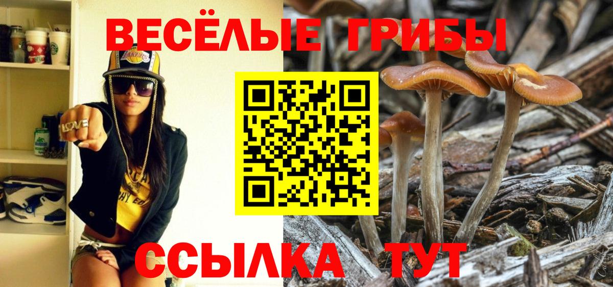 Галлюциногенные грибы Magic Shrooms Батайск