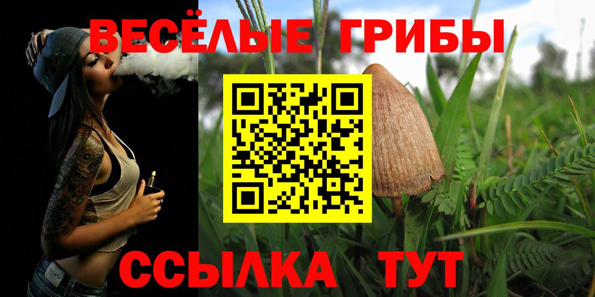 Псилоцибиновые грибы Cubensis  Вход с VPN  Псилоцибиновые грибы MAGIC MUSHROOMS  Батайск 